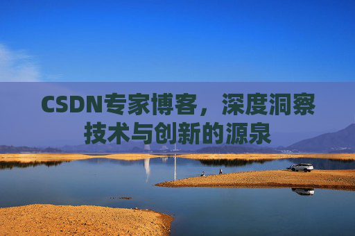 CSDN专家博客，深度洞察技术与创新的源泉
